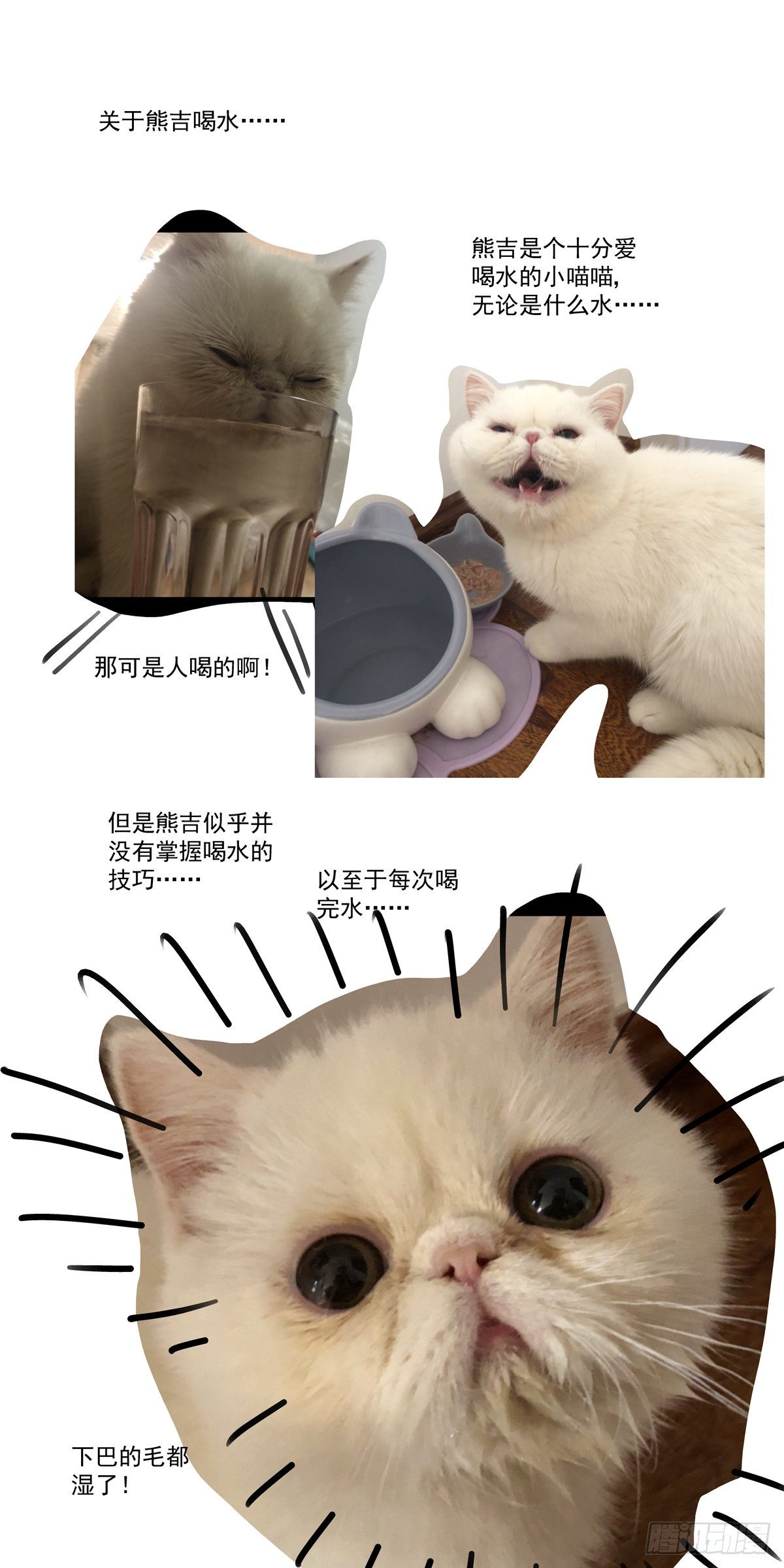 017侠义长存19