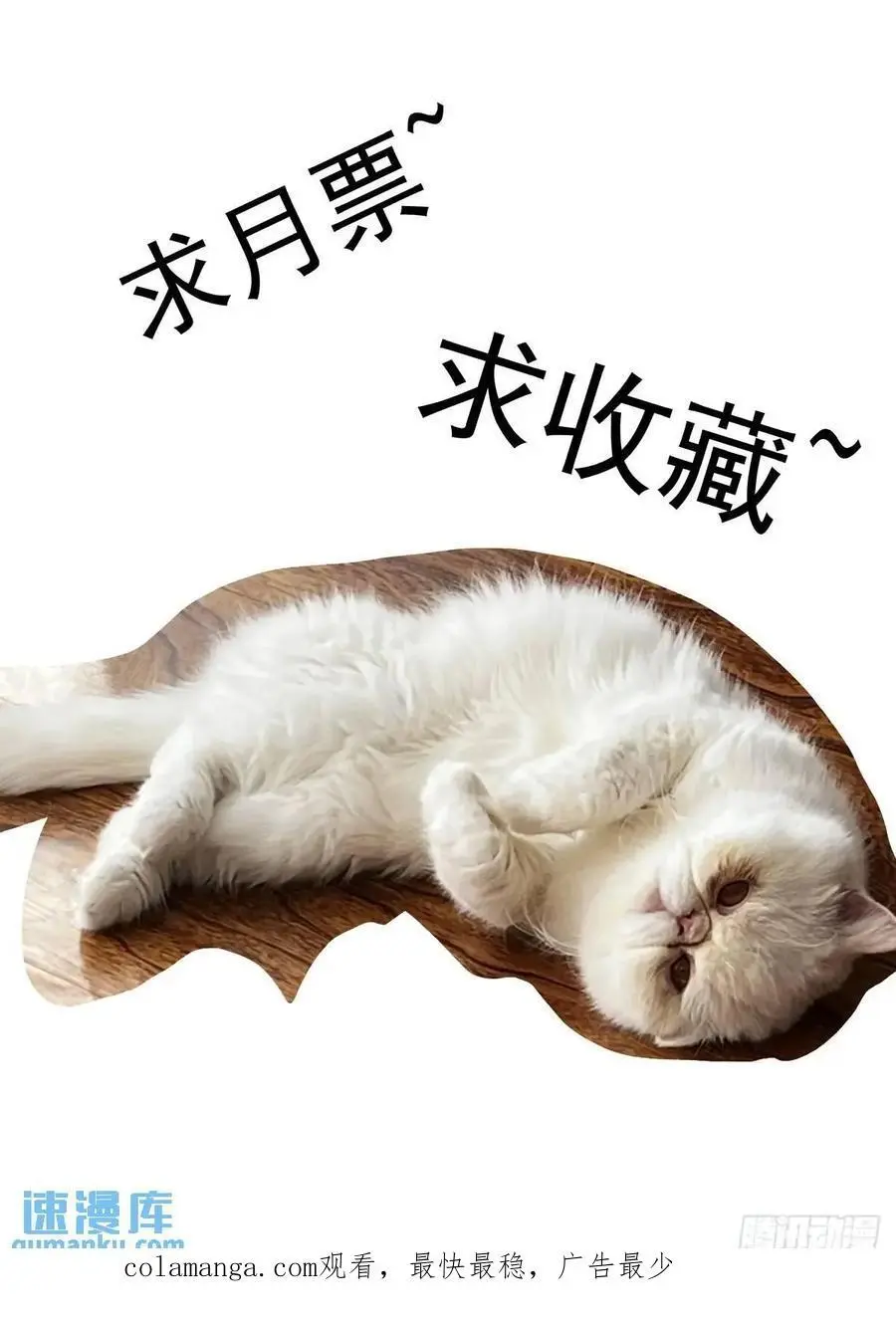 128登台15