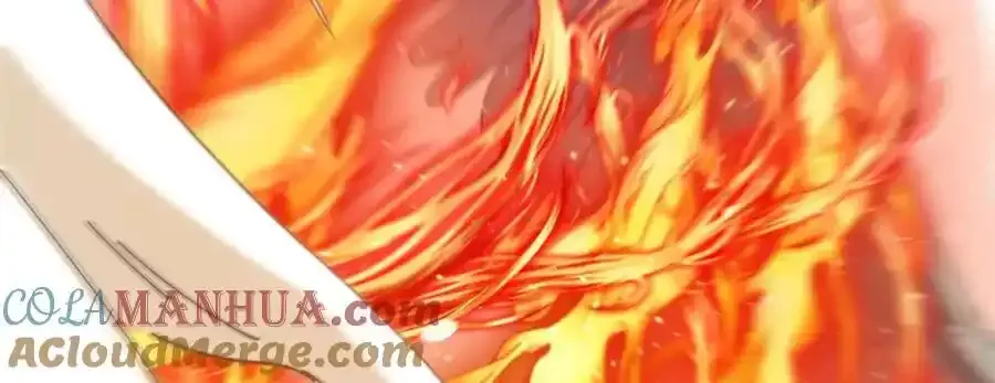 77 凤凰的突袭56