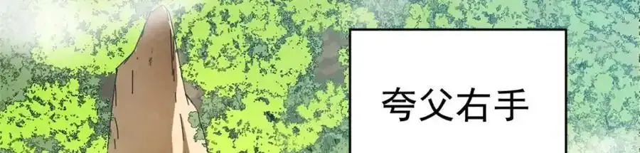 77 凤凰的突袭14
