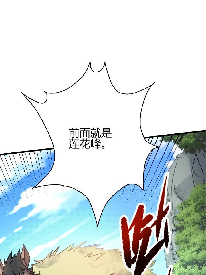 2 师妹天赋卓绝74
