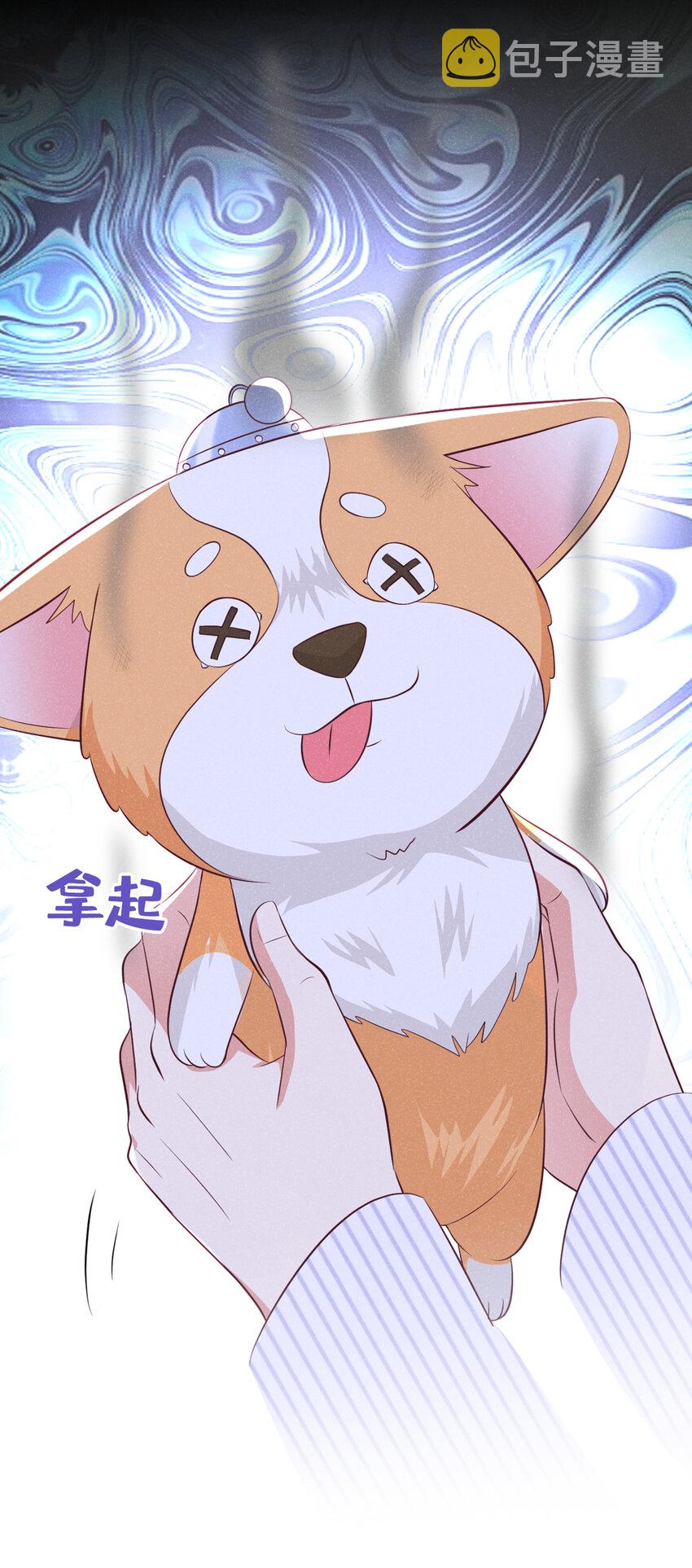 50 宝贝，我来了！6
