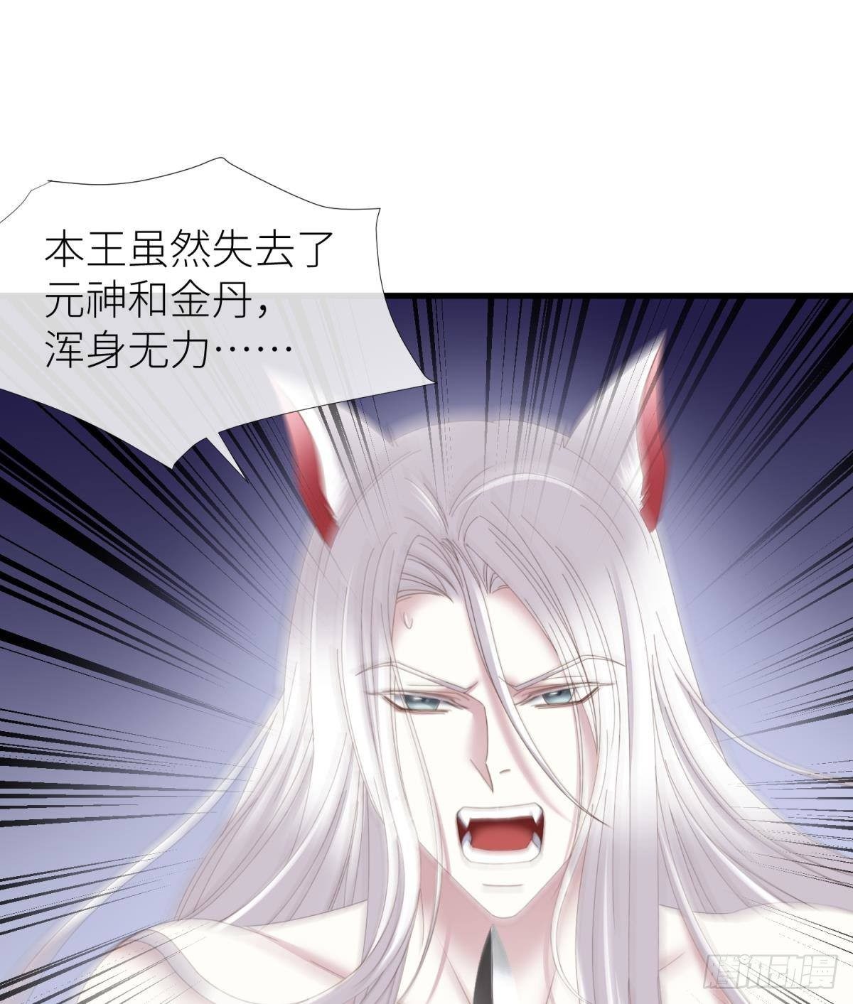 清冷狐王33