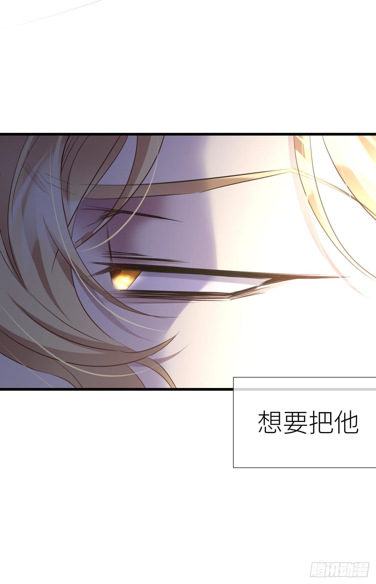 黑影31