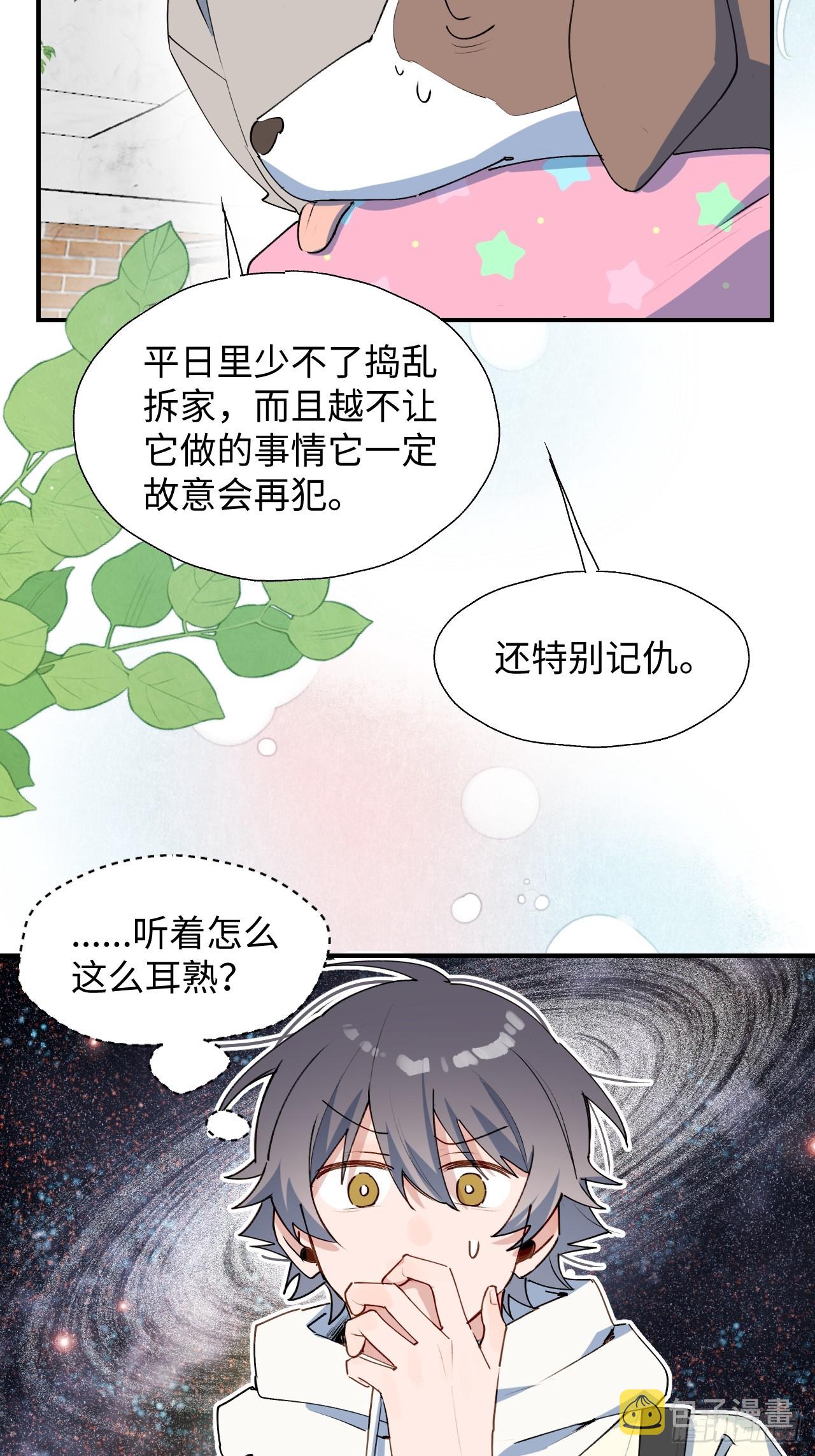 49这什么啊……6