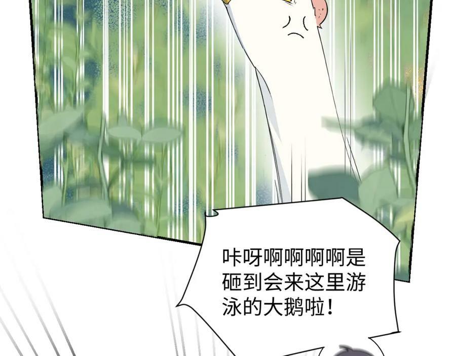 72来特训吧！55