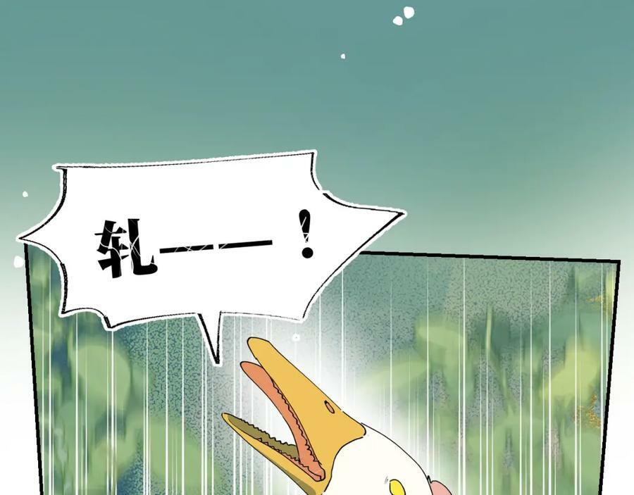 72来特训吧！54