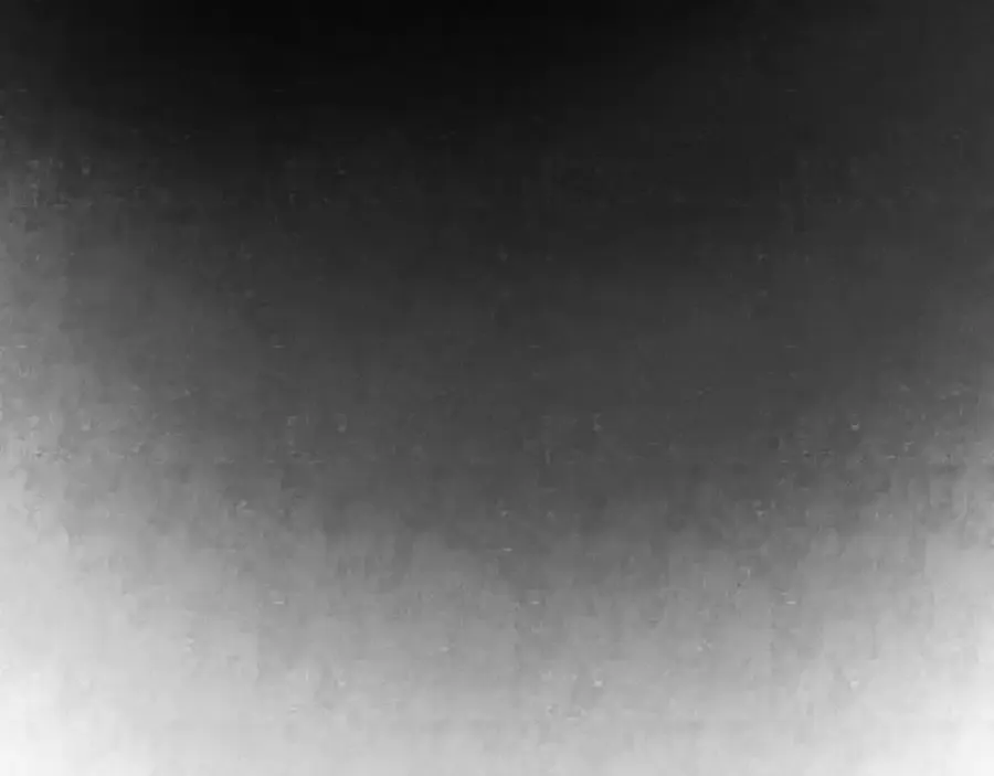 76.夜行之鸟97