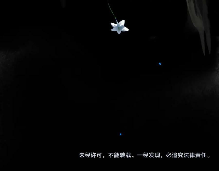 81.星星花82