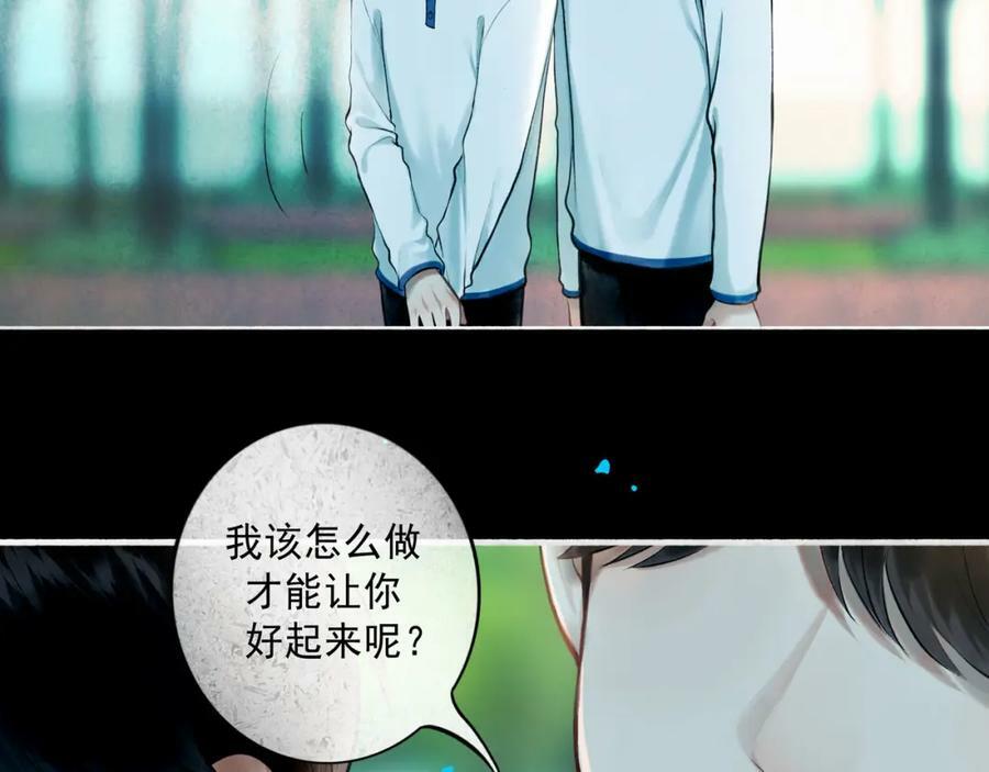 81.星星花22