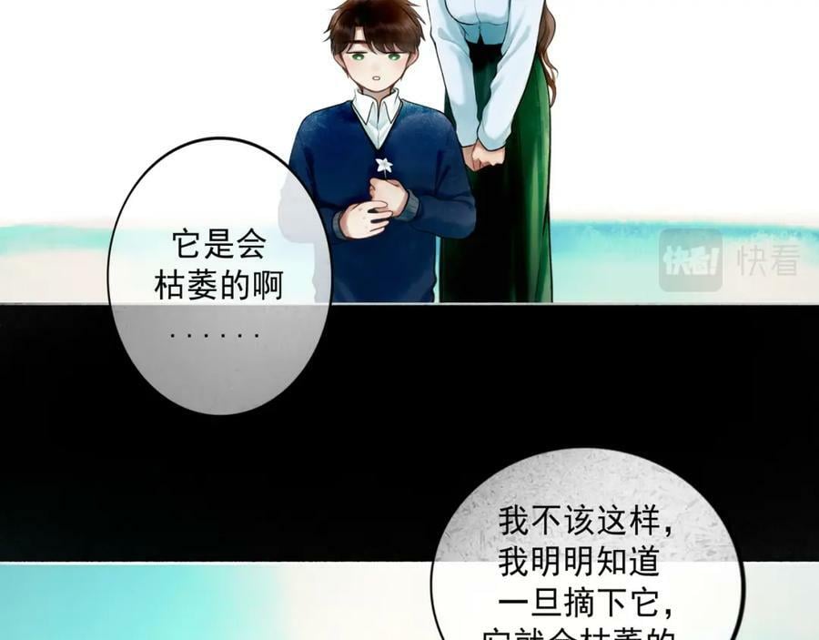 81.星星花14