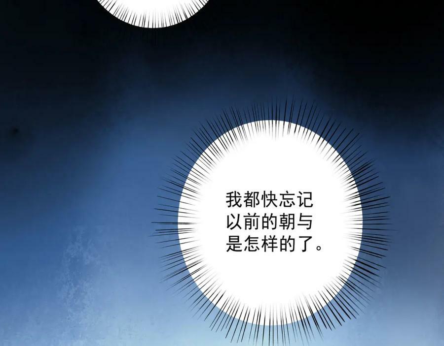 81.星星花41