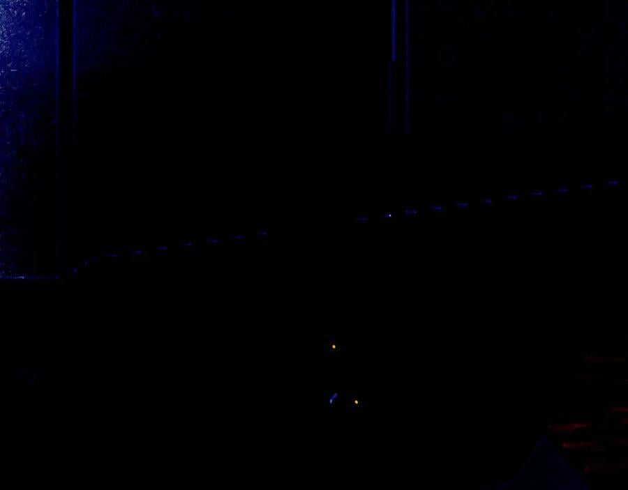 93.神秘组织14