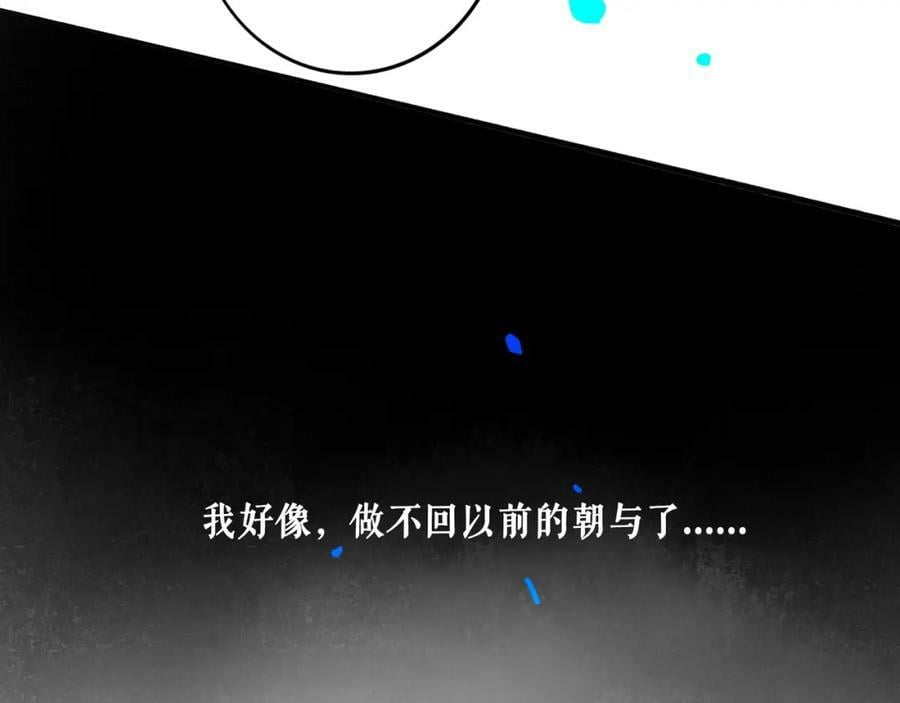 81.星星花67