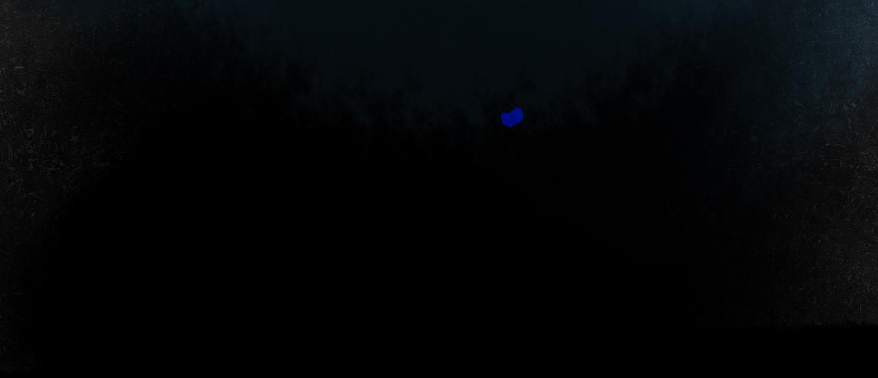 42.撩拨72