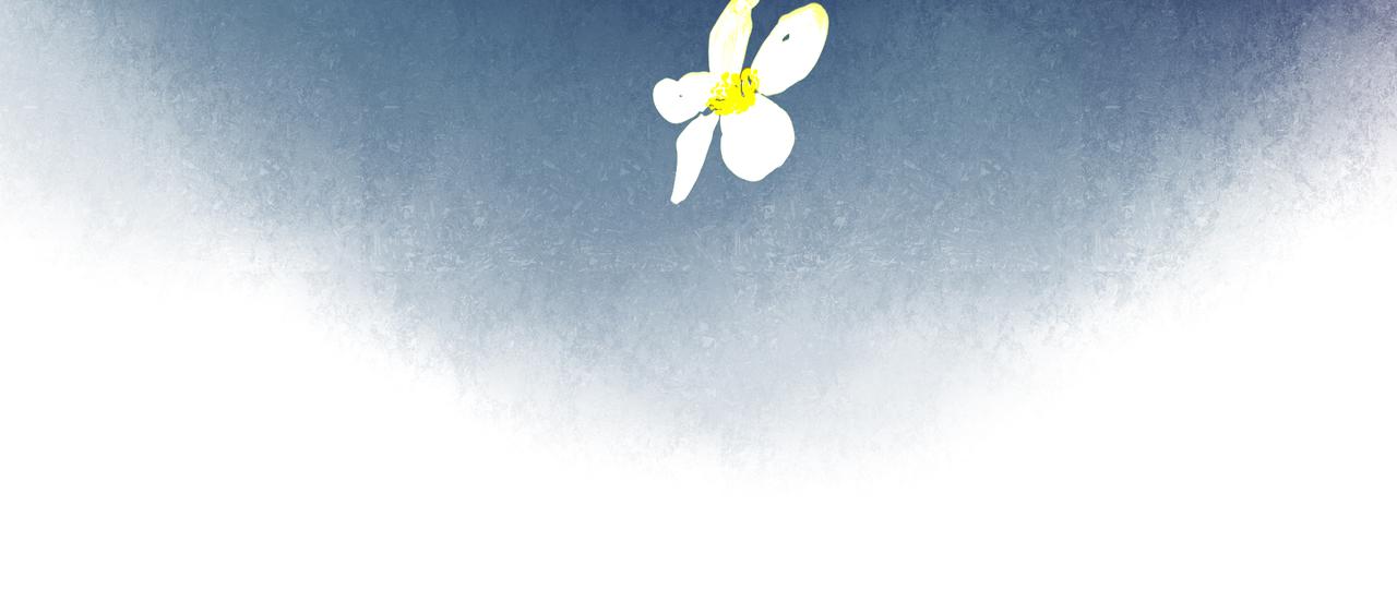 41.主角92