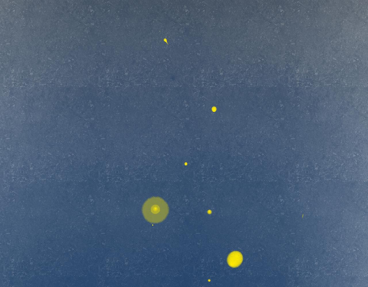 42.撩拨86