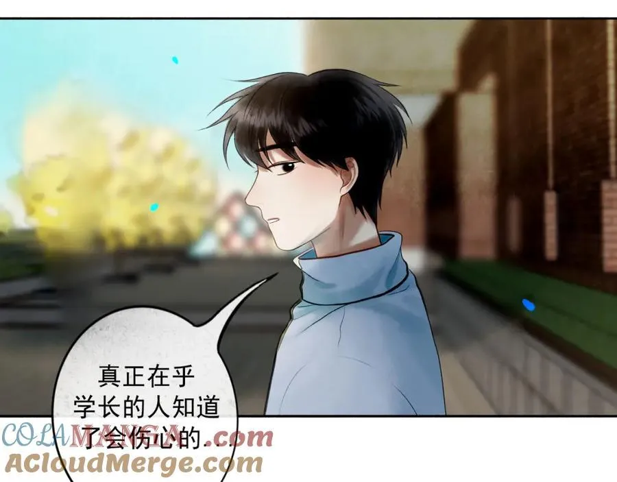 愈合的伤疤64