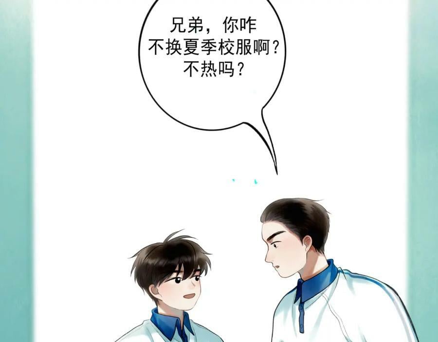 81.星星花44