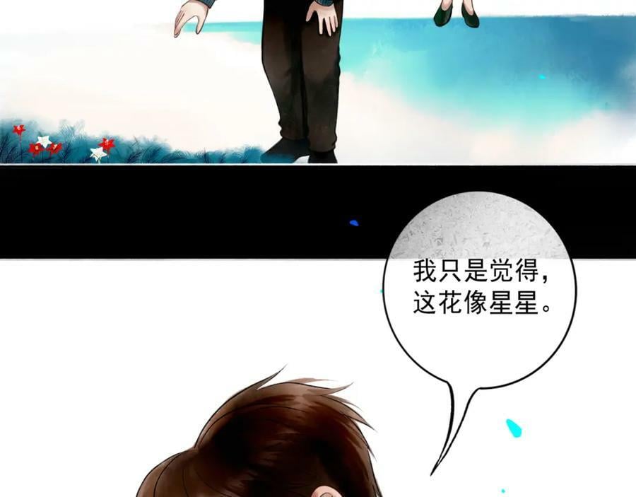 81.星星花11