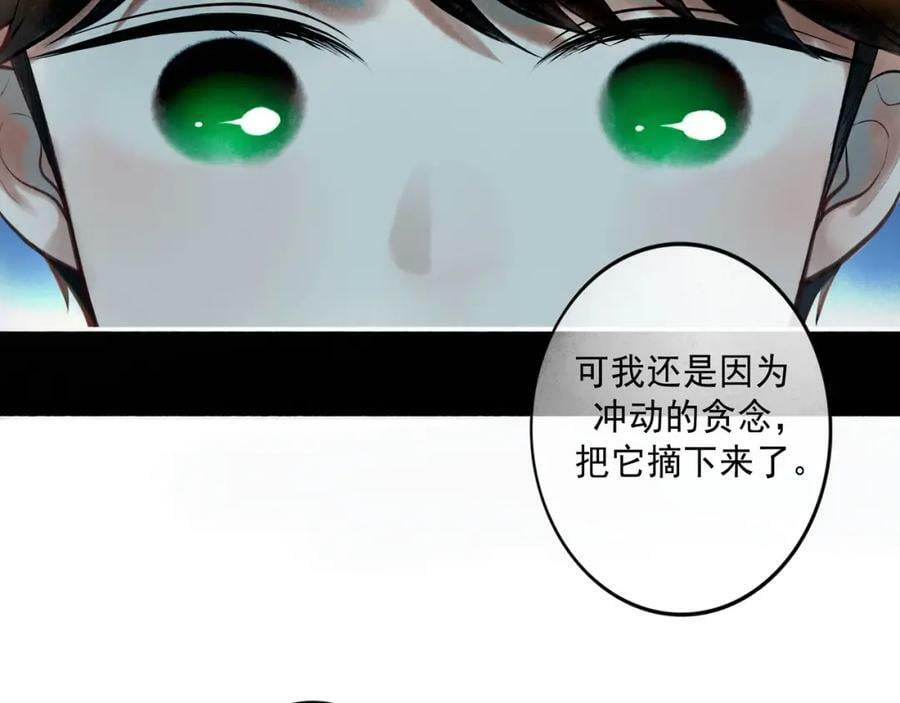 81.星星花16