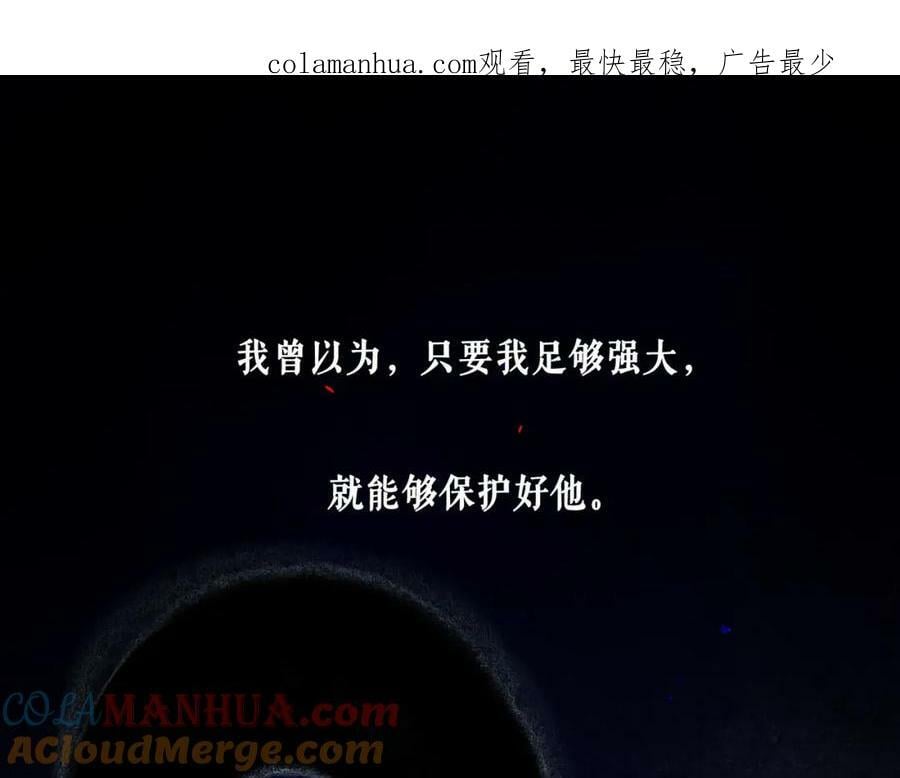 81.星星花0