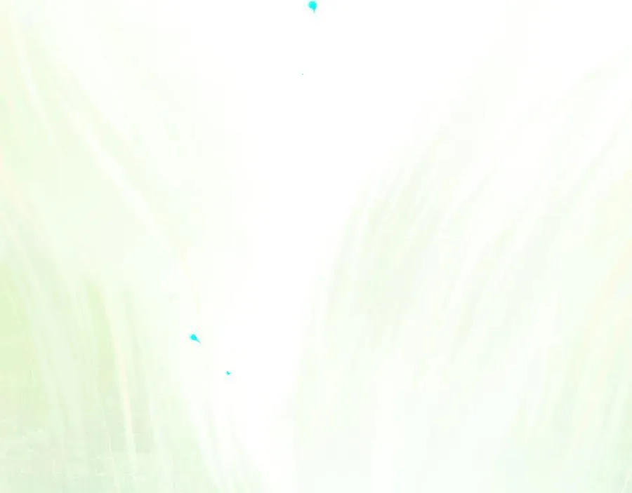 113.完结话 一场冬雪207