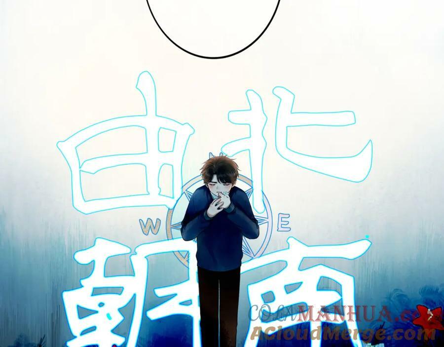 81.星星花18