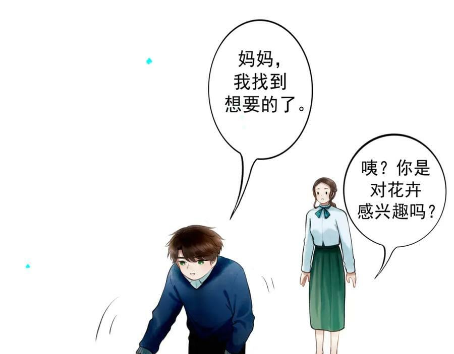 81.星星花10