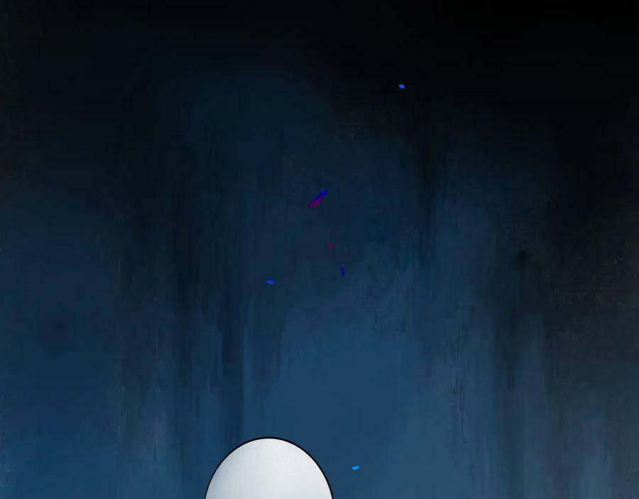 81.星星花5