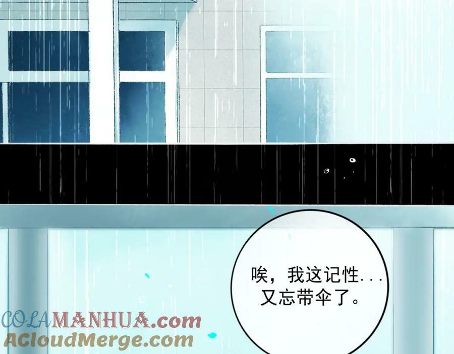 81.星星花48