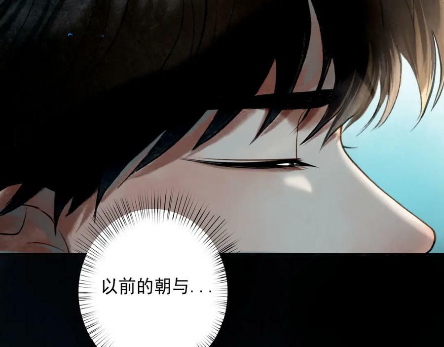 81.星星花40