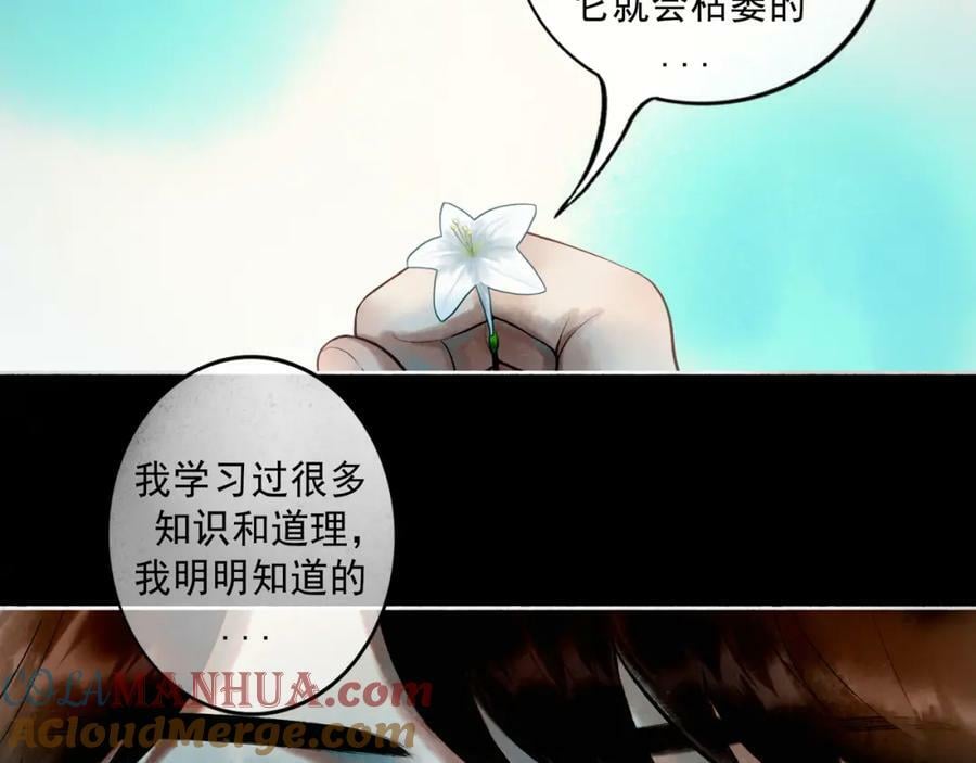 81.星星花15
