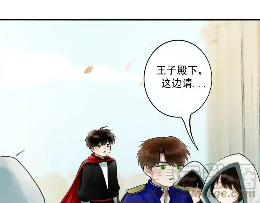 76.夜行之鸟8