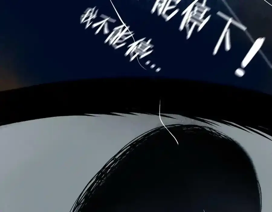 76.夜行之鸟63