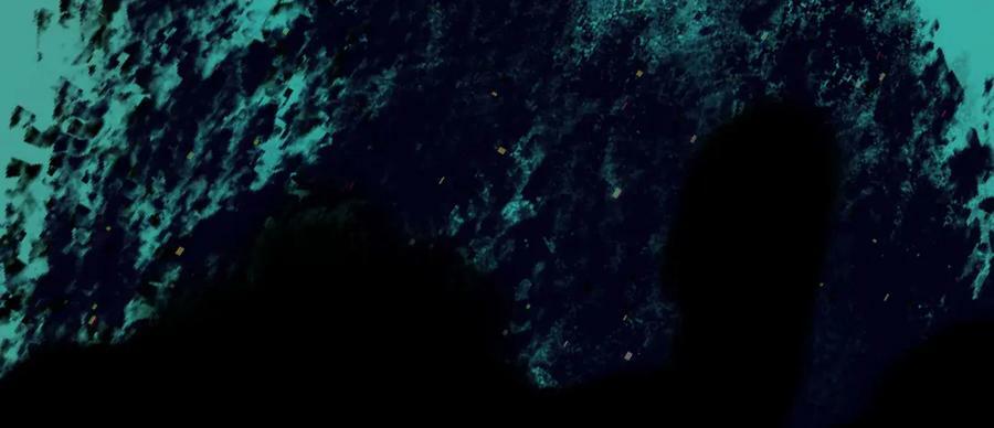 81.星星花29