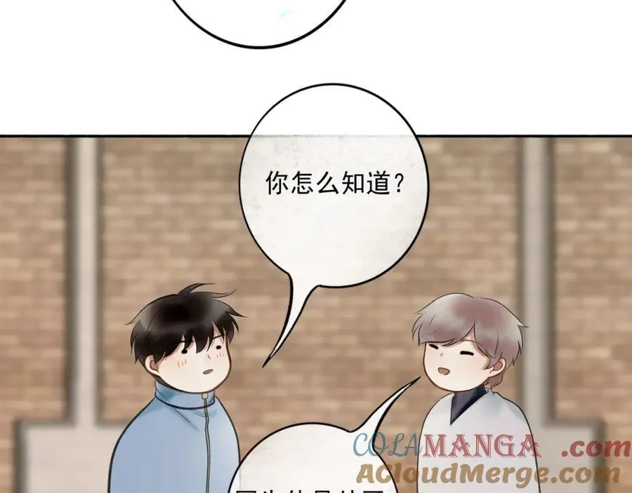 愈合的伤疤44