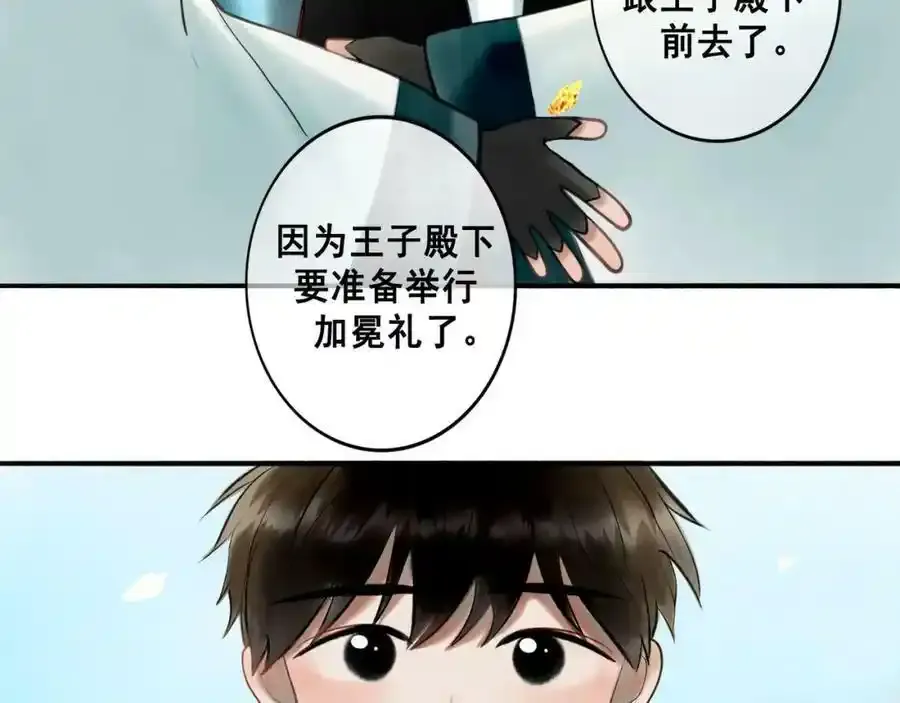 76.夜行之鸟11