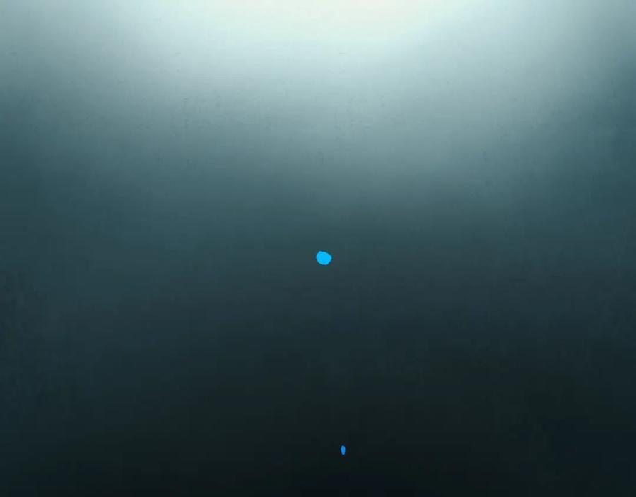 90.隐情88