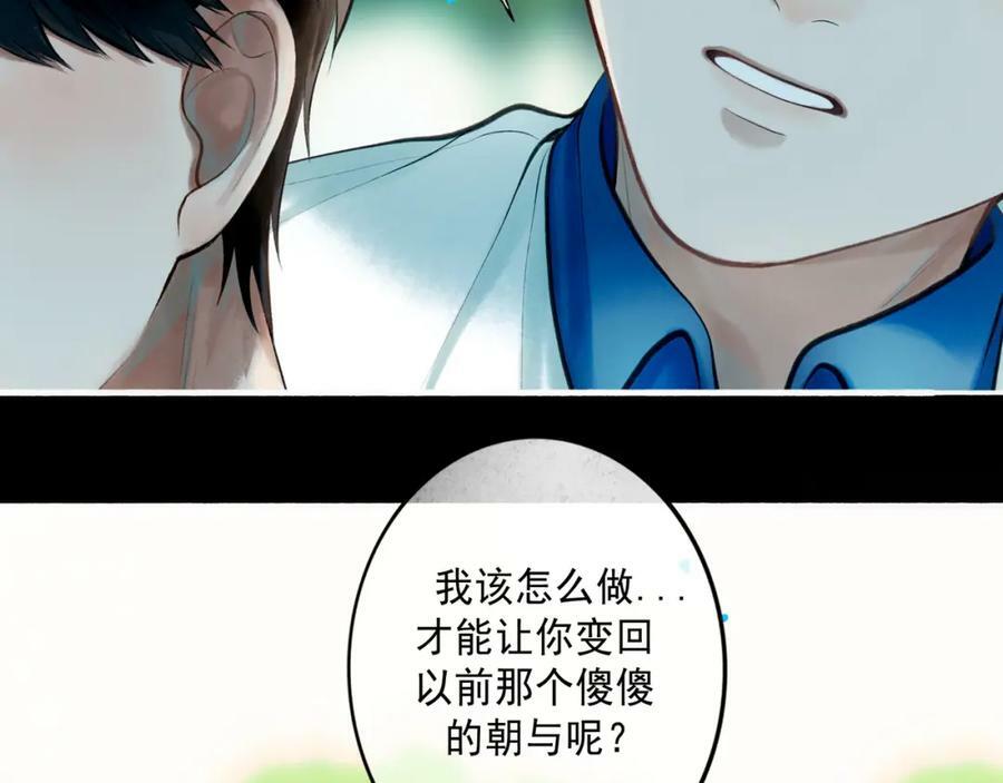 81.星星花23