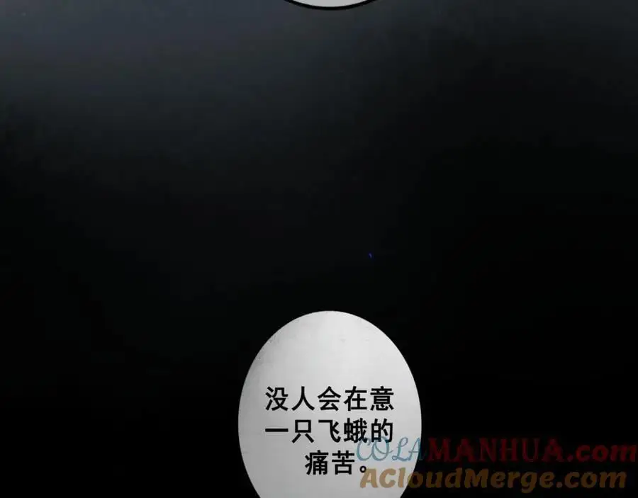 97.扑火之蛾24