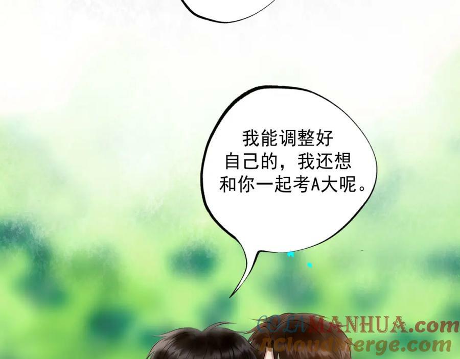 81.星星花36