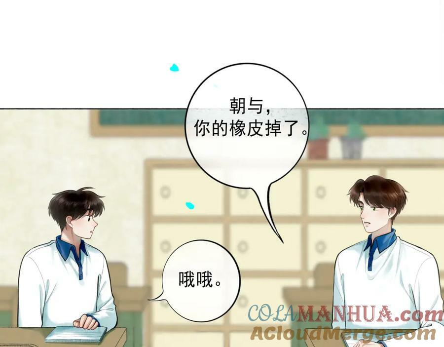 81.星星花60