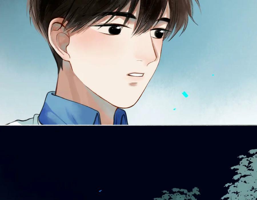 81.星星花46