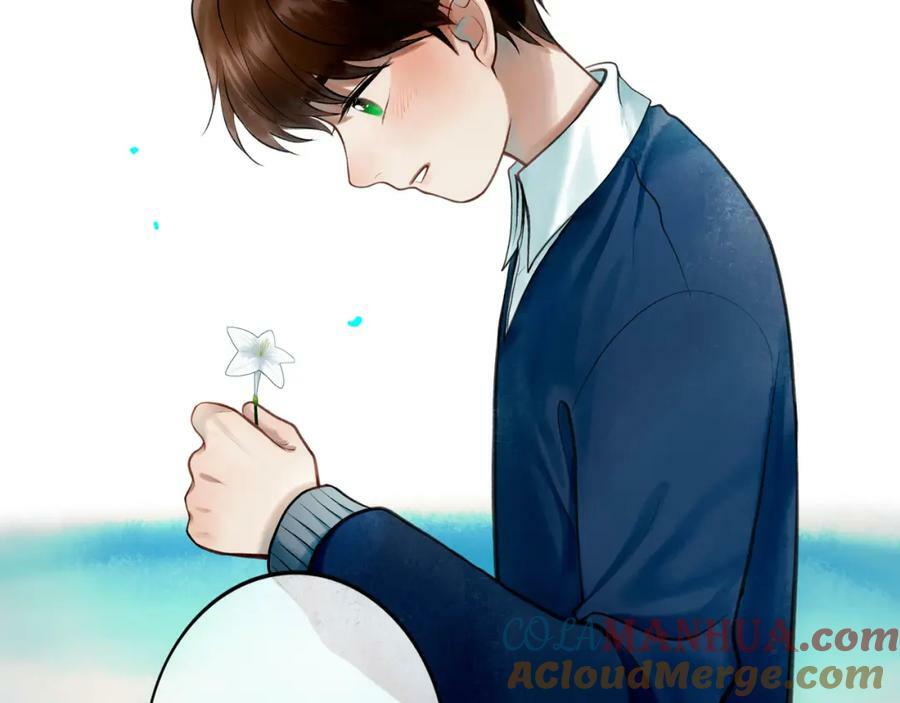 81.星星花12