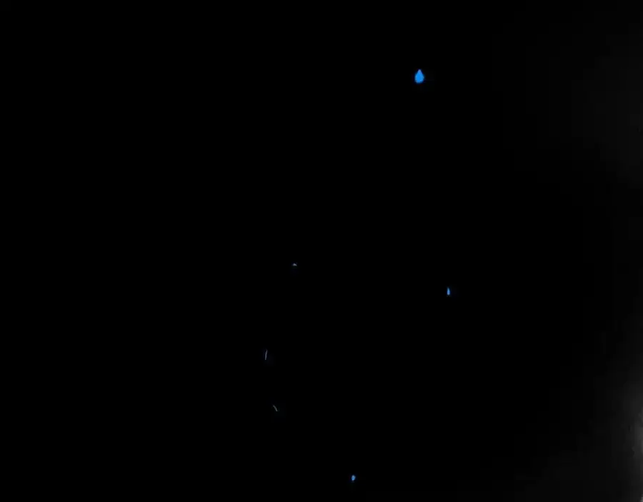 101.再现前奏11