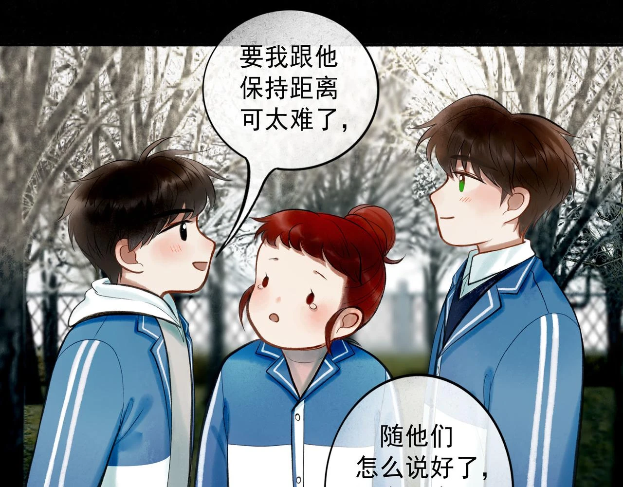 74.冷光40