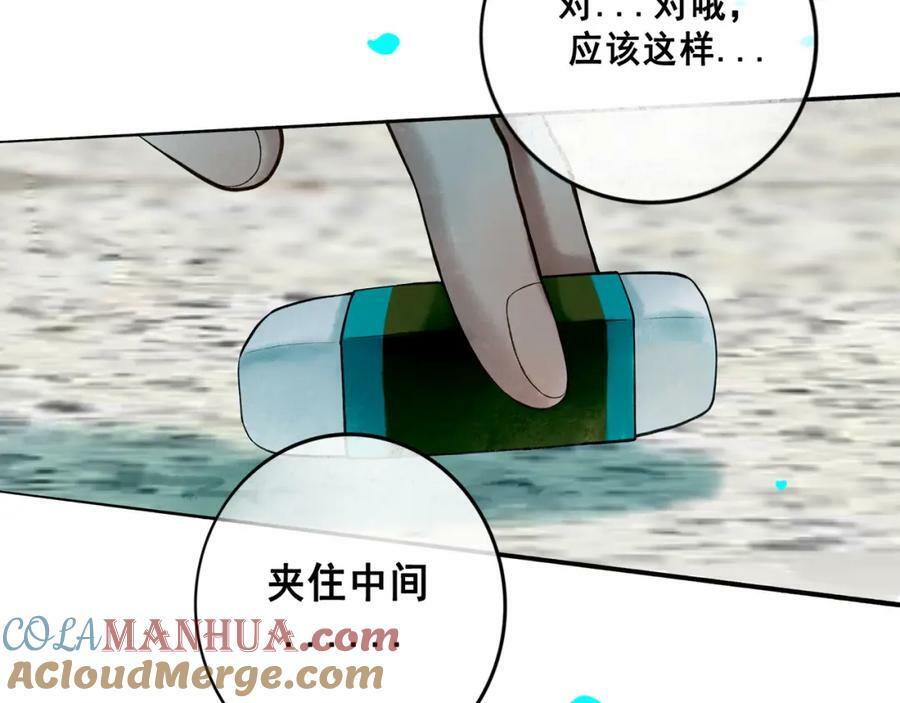 81.星星花66