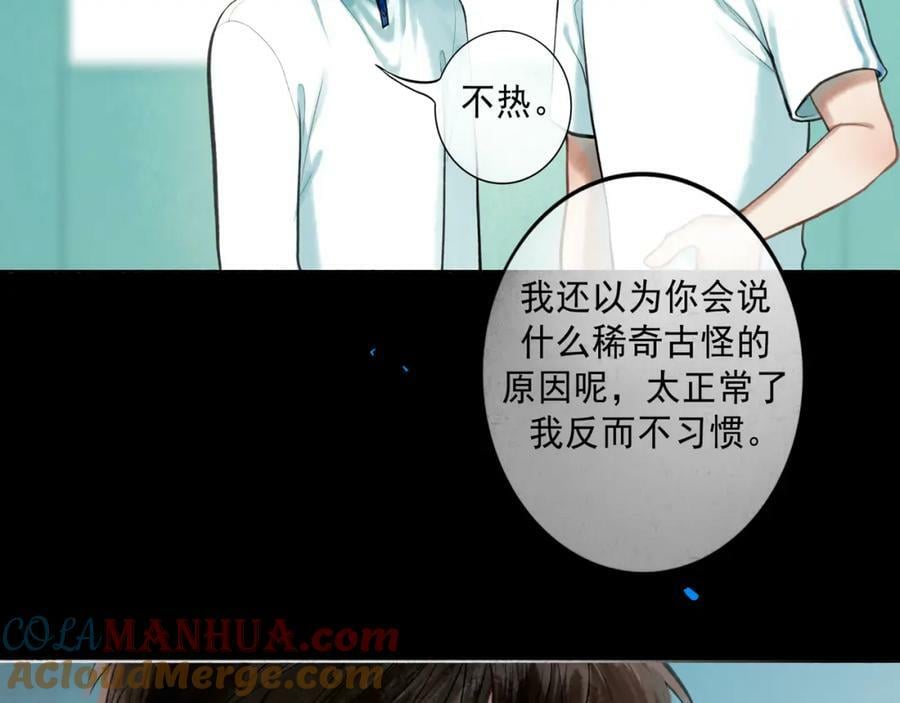 81.星星花45