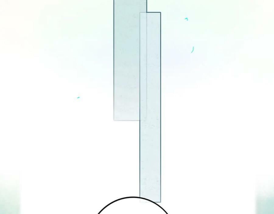 81.星星花43